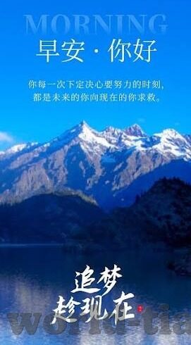 成人最新视频-成人最新视频，在数字时代下的文化与伦理边界