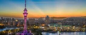 大象传媒app成-大象传媒APP，成于创新，行于未来