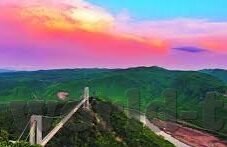 大象一二三区别视频-探索大象，从一二三到视频的奇妙旅程