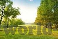 美国成人黄色视频-美国成人黄色视频，网络文化的灰色地带与法律边界