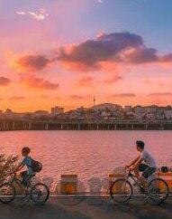 糖心vlog贴吧-甜蜜生活，糖心Vlog与贴吧的甜蜜邂逅