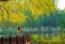 vlog糖心官网下载-解锁创造的乐趣，Vlog糖心官网下载的甜蜜体验