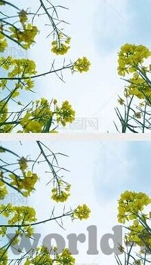 最近中文字幕mv在线视频-探索网络视频新视角，近期中文字幕MV的在线体验